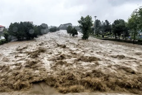 سیل ویرانگر ما پارک