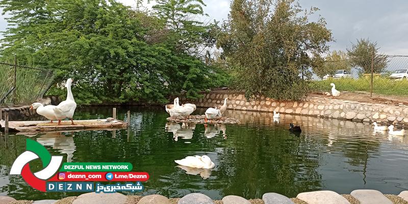 باغ وحش زیبای دزفول