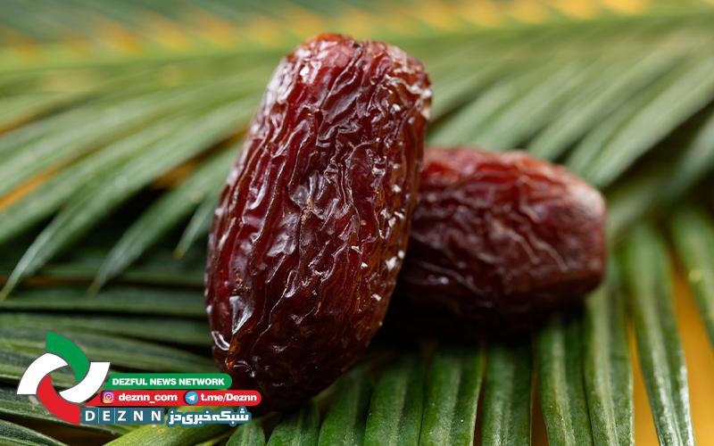 خرمای «مجول» در دزفول تولید شد