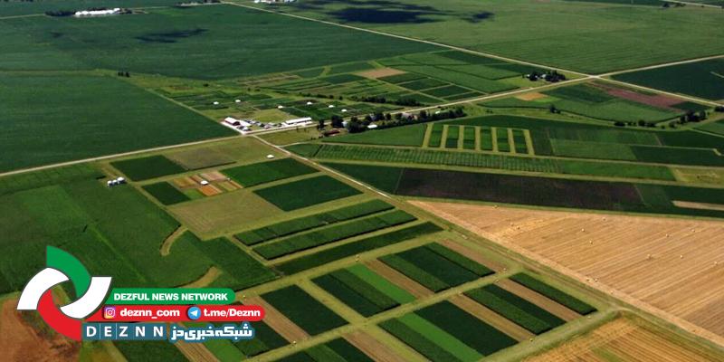 کشاورزان دزفول برای دریافت سند تک برگ اراضی خود اقدام کنند