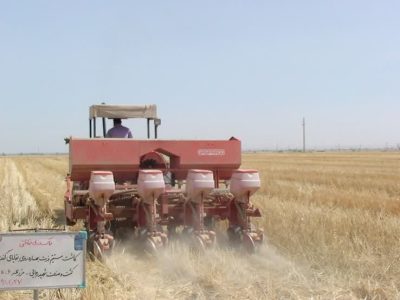 -زدن-مزارع-400x300 دمو خبری 3