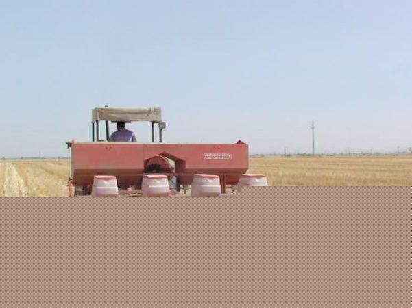 -زدن-مزارع-601x450 دمو خبری 4