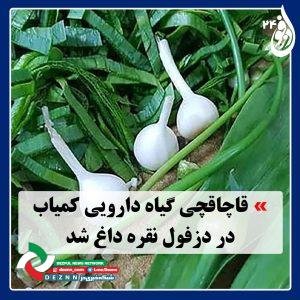 2-دارویی-300x300 دمو خبری 1