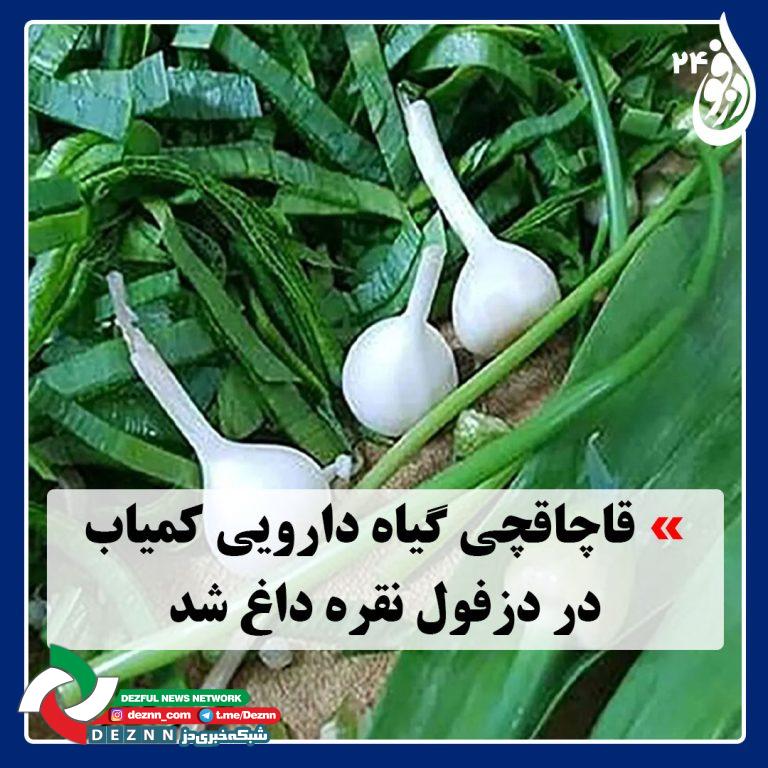2-دارویی-768x768 دمو خبری2
