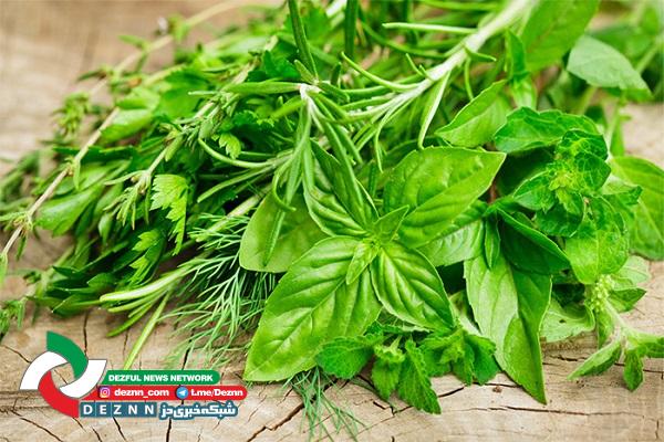 محکومیت قاچاقچی گیاه دارویی کمیاب در دزفول