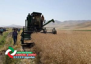 مطالبات کلزاکاران دزفول به طور کامل پرداخت شد