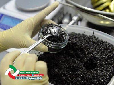 آغاز احداث مجتمع ۲ هزار تنی پرورش ماهیان خاویاری در دزفول